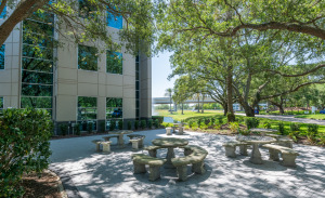 The Crossing outdoor area